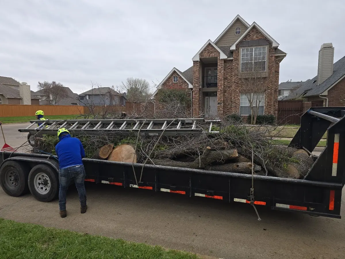 Expert Lot Clearing with proper safety equipment in Dilley